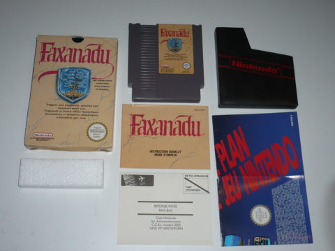 Photo du jeu Faxanadu sur Nintendo Entertainment System (NES).