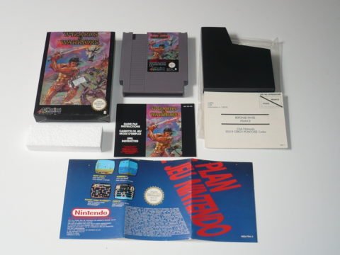 Photo du jeu Wizards & Warriors sur Nintendo Entertainment System (NES).