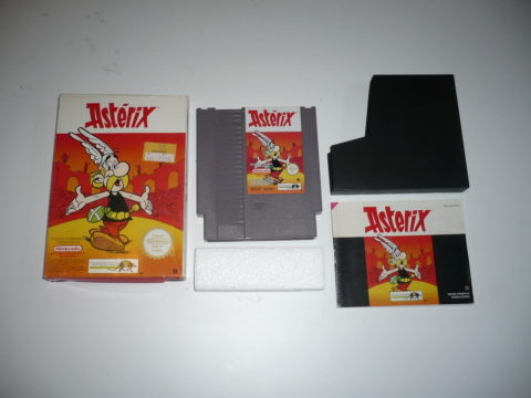 Photo du jeu Astérix sur Nintendo Entertainment System (NES).