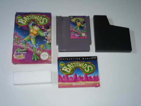 Photo du jeu Battletoads sur Nintendo Entertainment System (NES).