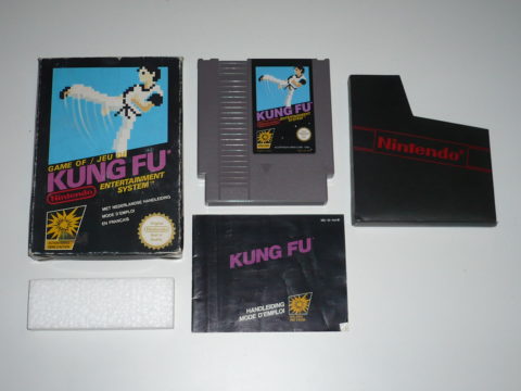 Photo du jeu Kung Fu sur Nintendo Entertainment System (NES).