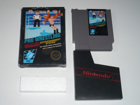 Photo du jeu Pro Wrestling sur Nintendo Entertainment System (NES).