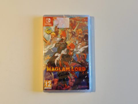 Maglam Lord sur Switch